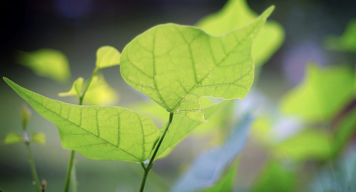 заставка курса
